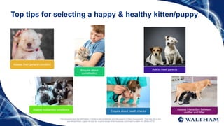 This document and the information it contains are confidential and the property of Mars Incorporated. They may not in any
way be disclosed, copied or used by anyone except when expressly authorised by Mars Inc. ©Mars 2016
Top tips for selecting a happy & healthy kitten/puppy
Assess interaction between
mother and litter
Ask to meet parentsEnquire about
socialisation
Assess their general condition
Assess husbandry conditions
Enquire about health checks
 