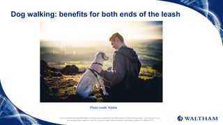 This document and the information it contains are confidential and the property of Mars Incorporated. They may not in any
way be disclosed, copied or used by anyone except when expressly authorised by Mars Inc. ©Mars 2016
Dog walking: benefits for both ends of the leash
Photo credit: Adobe
 
