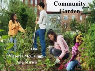 Community
Garden
Victoria McCallum
Ana Mirica
 