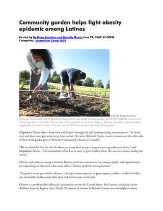 Community garden helps fight obesity
epidemic among Latinos
Posted by By Nora Sanchez and Danelly Muniz June 27, 2009 22:00PM
Categories: Journalism Camp 2009




                                                                                Photo by Nora Sanchez
Hirlanda Nunez (left) and Magdaleno Nunez plant pea seeds on their garden plot at the Westside Community
Church garden in Corvallis. The couple, who originally came from Oaxaca, Mexico, are able to grow healthy
vegetables and save money. They are one of 19 Latino families planting at the garden.

Magdaleno Nunez takes a long stick and drags it through the soil, making a long, narrow groove. He bends
over and places two pea seeds every three inches. His wife, Hirlanda Nunez, waters tomatoes on the other side
of their small garden plot at Westside Community Church in Corvallis.

"We are thankful that the church allows us to use their property to grow our vegetables and fruits," said
Magdaleno Nunez. "The community offered us (a way) to grow healthy food. We can save money during the
winter."

Obesity and diabetes among Latinos in Benton and Linn counties are increasing rapidly, and organizations
are responding to help with what some call an "obesity epidemic among Latinos."

The garden is one part of the solution. It brings Latinos together to grow organic produce, so their families
can eat healthy foods, watch their diets and not become overweight.

Obesity is a problem that affects all communities across the United States. But Latinos, including Latino
children, have the highest rates. Nearly 70 percent of Latinos in Benton County are overweight or obese,
 