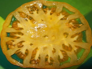 Community garden presentation