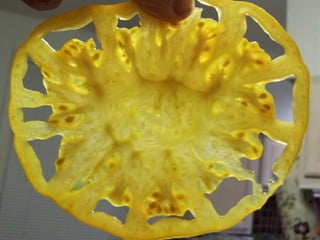 Community garden presentation