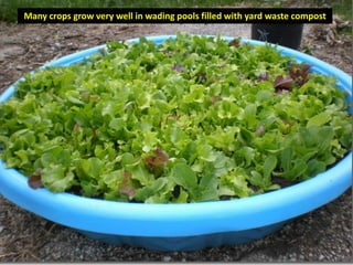 Many crops grow very well in wading pools filled with yard waste compost
 