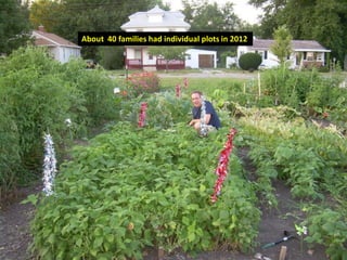 About 40 families had individual plots in 2012
 