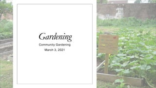 Gardening
Community Gardening
March 3, 2021
 