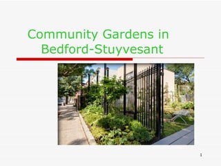 Community Gardens in  Bedford-Stuyvesant   