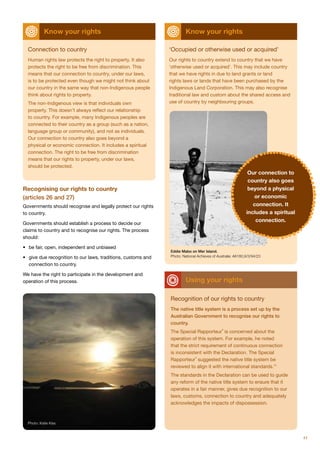 Community guide to un declaration on the rights of indigenous peoples | PDF
