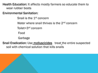 Health Education: It affects mostly farmers so educate them to
  wear rubber boots
Environmental Sanitation:
          Snail is the 1st concern
          Water where snail thrives is the 2nd concern
          Toilet=3rd concern
           Food
           Garbage
Snail Eradication: Use molluscicides treat the entire suspected
  soil with chemical solution that kills snails
 