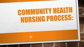 COMMUNITY HEALTH NURSING PROCESS.pptx