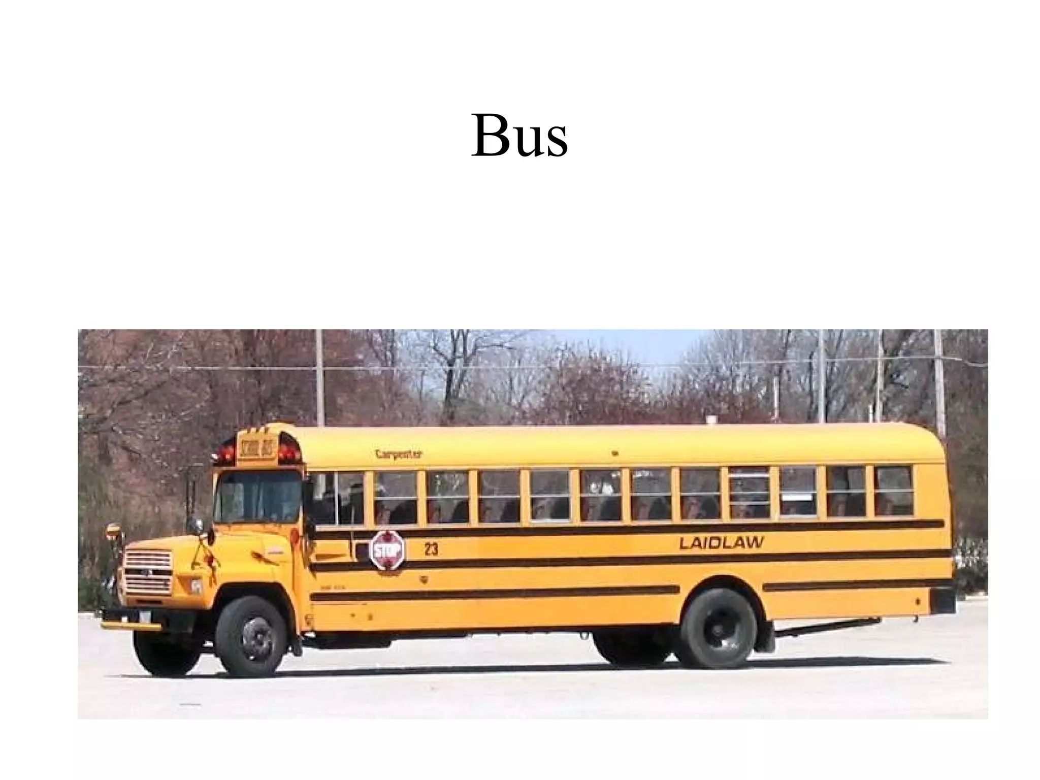 Bus 