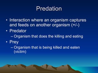Predation Interaction where an organism captures and feeds on another organism (+/-) Predator Organism that does the killing and eating Prey Organism that is being killed and eaten (victim) 