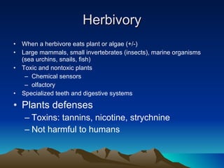 Herbivory When a herbivore eats plant or algae (+/-) Large mammals, small invertebrates (insects), marine organisms (sea urchins, snails, fish) Toxic and nontoxic plants Chemical sensors olfactory Specialized teeth and digestive systems Plants defenses Toxins: tannins, nicotine, strychnine Not harmful to humans 