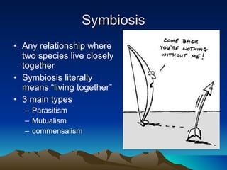 Symbiosis Any relationship where two species live closely together  Symbiosis literally means “living together” 3 main types Parasitism Mutualism commensalism 