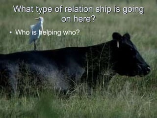 What type of relation ship is going on here? Who is helping who? 
