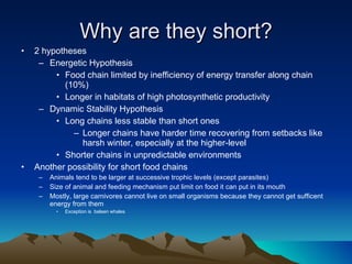 Why are they short? 2 hypotheses Energetic Hypothesis  Food chain limited by inefficiency of energy transfer along chain (10%) Longer in habitats of high photosynthetic productivity Dynamic Stability Hypothesis Long chains less stable than short ones Longer chains have harder time recovering from setbacks like harsh winter, especially at the higher-level Shorter chains in unpredictable environments Another possibility for short food chains Animals tend to be larger at successive trophic levels (except parasites) Size of animal and feeding mechanism put limit on food it can put in its mouth  Mostly, large carnivores cannot live on small organisms because they cannot get sufficent energy from them Exception is  baleen whales 