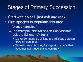 Stages of Primary Succession Start with no soil, just ash and rock First species to populate this area “ pioneer species” For example, pioneer species on volcanic rock are lichens (LY-kunz) Lichens   made up of fungus and algae that can grow on bare rock When lichens die, they for organic material that becomes soil…now plants can grow 