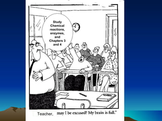 Teacher, Study Chemical reactions, enzymes, and Chapters 3 and 4 