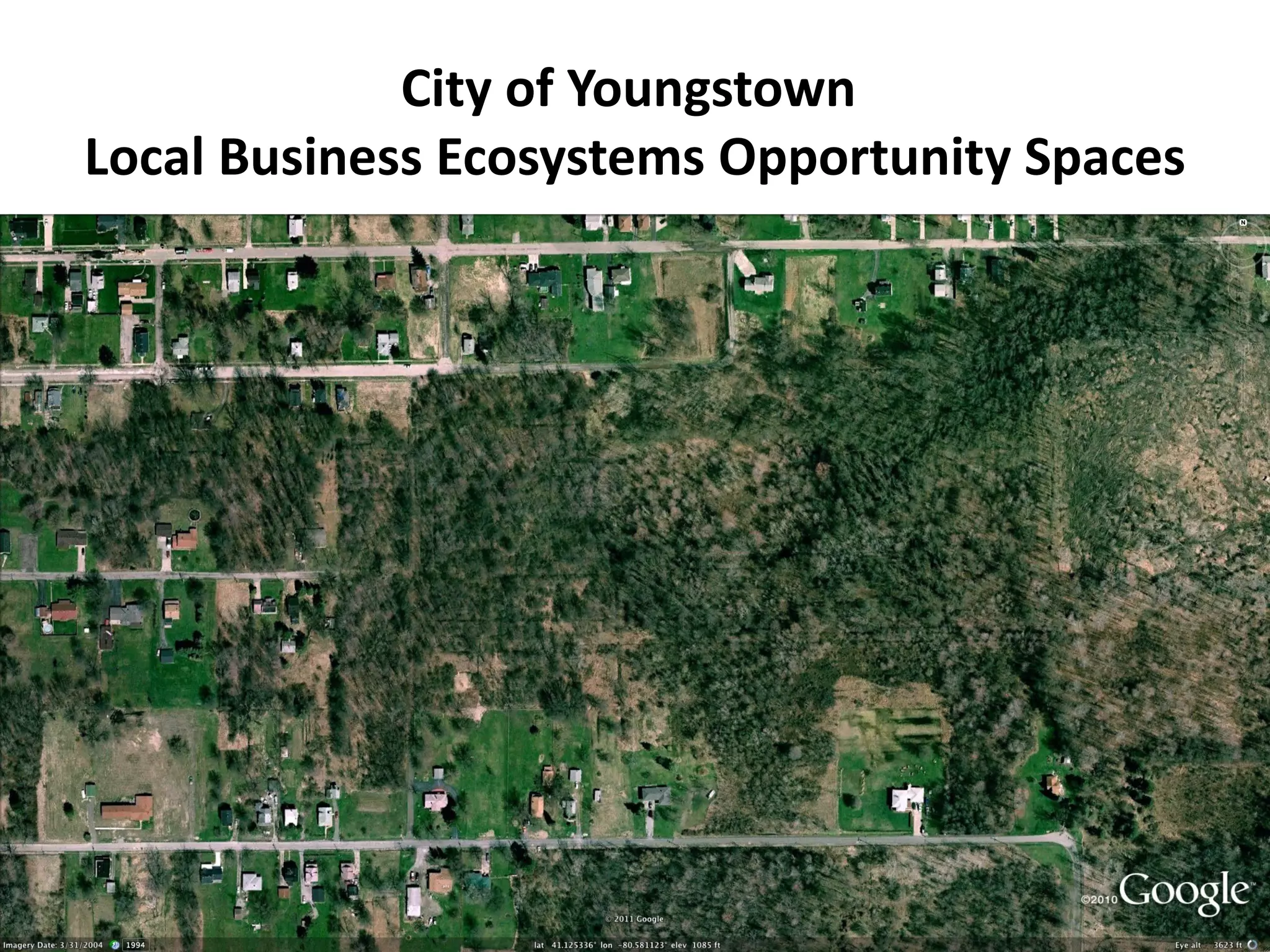 City of Youngstown
Local Business Ecosystems Opportunity Spaces
 
