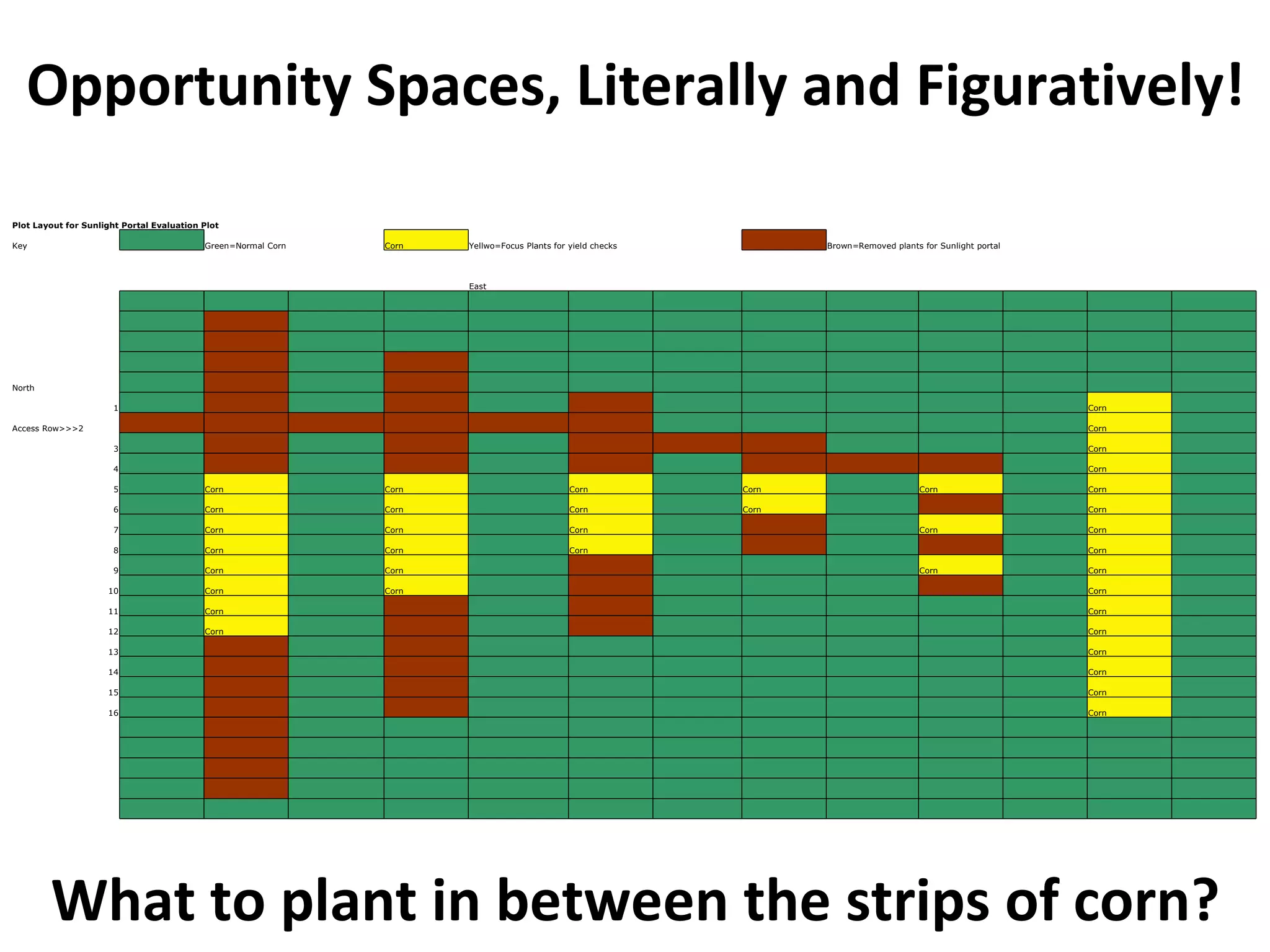 Opportunity Spaces, Literally and Figuratively!
Plot Layout for Sunlight Portal Evaluation Plot

Key                                        Green=Normal Corn       Corn   Yellwo=Focus Plants for yield checks              Brown=Removed plants for Sunlight portal




                                                                          East

                                                                                                                                                                                   

                                                                                                                                                                                   

                                                                                                                                                                                   

                                                                                                                                                                                   

North                                                                                                                                                                              

                       1                                                                                                                                                   Corn    

Access Row>>>2                                                                                                                                                             Corn    

                       3                                                                                                                                                   Corn    

                       4                                                                                                                                                   Corn    

                       5                   Corn                    Corn                           Corn               Corn                        Corn                      Corn    

                       6                   Corn                    Corn                           Corn               Corn                                                  Corn    

                       7                   Corn                    Corn                           Corn                                           Corn                      Corn    

                       8                   Corn                    Corn                           Corn                                                                     Corn    

                       9                   Corn                    Corn                                                                          Corn                      Corn    

                     10                    Corn                    Corn                                                                                                    Corn    

                     11                    Corn                                                                                                                            Corn    

                     12                    Corn                                                                                                                            Corn    

                     13                                                                                                                                                    Corn    

                     14                                                                                                                                                    Corn    

                     15                                                                                                                                                    Corn    

                     16                                                                                                                                                    Corn    

                                                                                                                                                                                   

                                                                                                                                                                                   

                                                                                                                                                                                   

                                                                                                                                                                                   

                                                                                                                                                                                   




        What to plant in between the strips of corn?
 