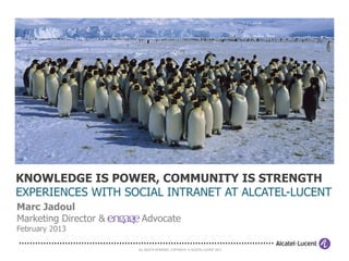 KNOWLEDGE IS POWER, COMMUNITY IS STRENGTH
EXPERIENCES WITH SOCIAL INTRANET AT ALCATEL-LUCENT
Marc Jadoul
Marketing Director &    Advocate
March 2013

                       ALL RIGHTS RESERVED. COPYRIGHT © ALCATEL-LUCENT 2013.
 