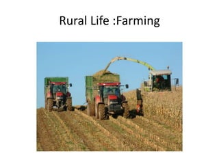 Rural Life :Farming
 