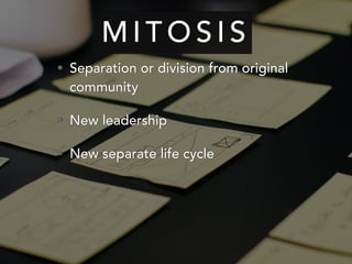 M I T O S I S
• Separation or division from original
community
• New leadership
• New separate life cycle
 