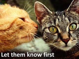 Let them know first   69
 