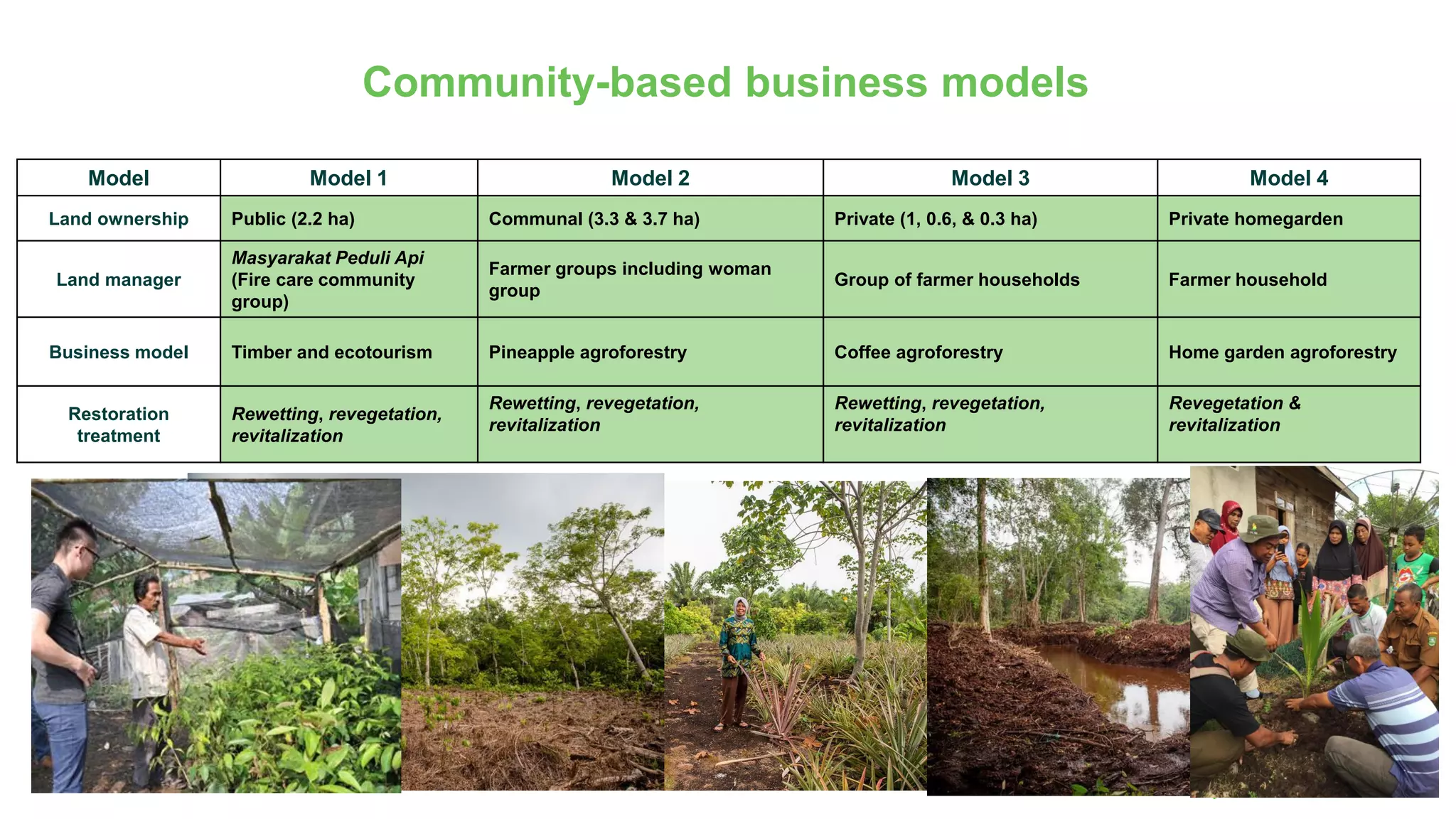 Community-based business models
Model Model 1 Model 2 Model 3 Model 4
Land ownership Public (2.2 ha) Communal (3.3 & 3.7 ha) Private (1, 0.6, & 0.3 ha) Private homegarden
Land manager
Masyarakat Peduli Api
(Fire care community
group)
Farmer groups including woman
group
Group of farmer households Farmer household
Business model Timber and ecotourism Pineapple agroforestry Coffee agroforestry Home garden agroforestry
Restoration
treatment
Rewetting, revegetation,
revitalization
Rewetting, revegetation,
revitalization
Rewetting, revegetation,
revitalization
Revegetation &
revitalization
 