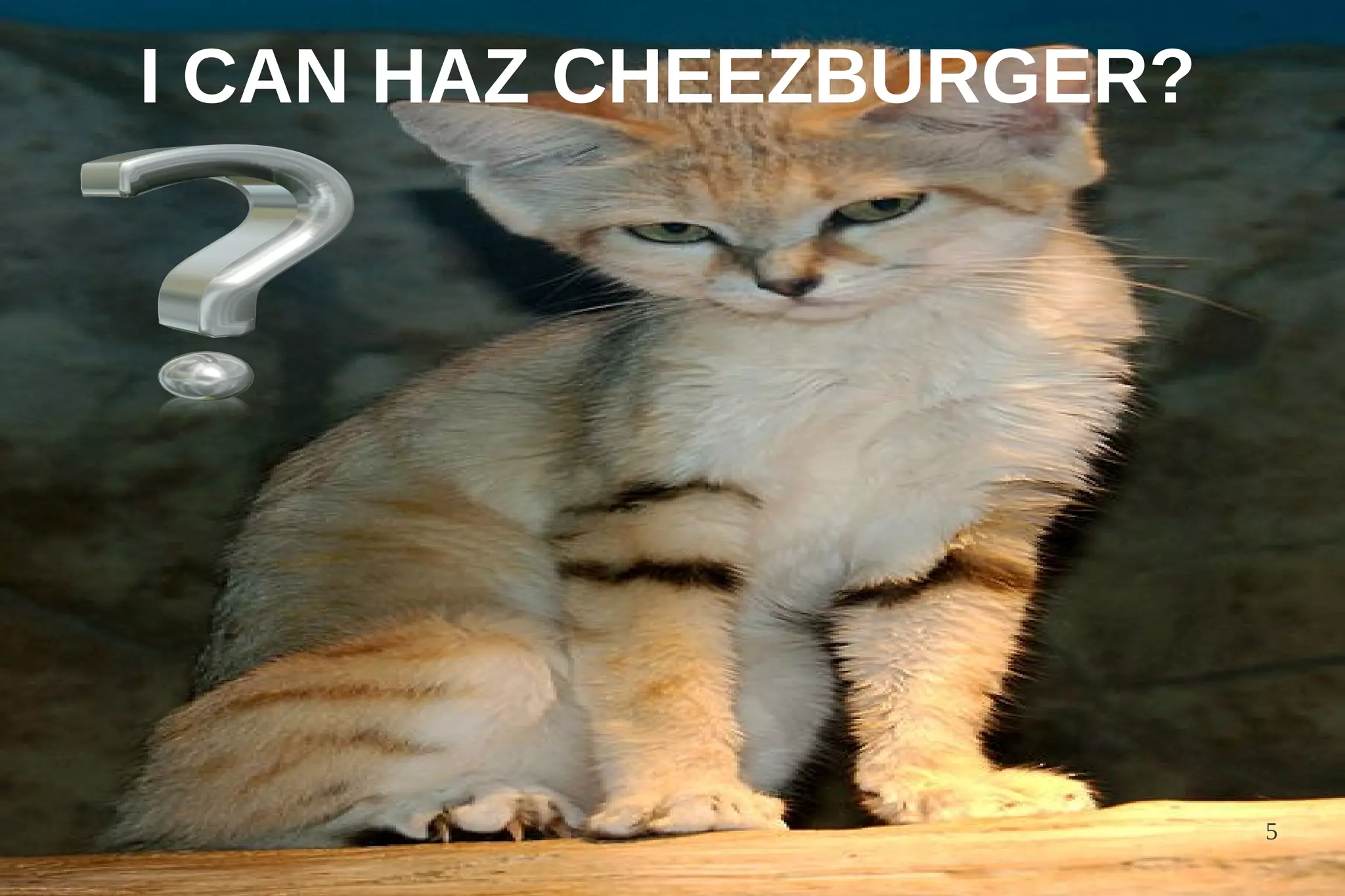I CAN HAZ CHEEZBURGER?




                         5
 