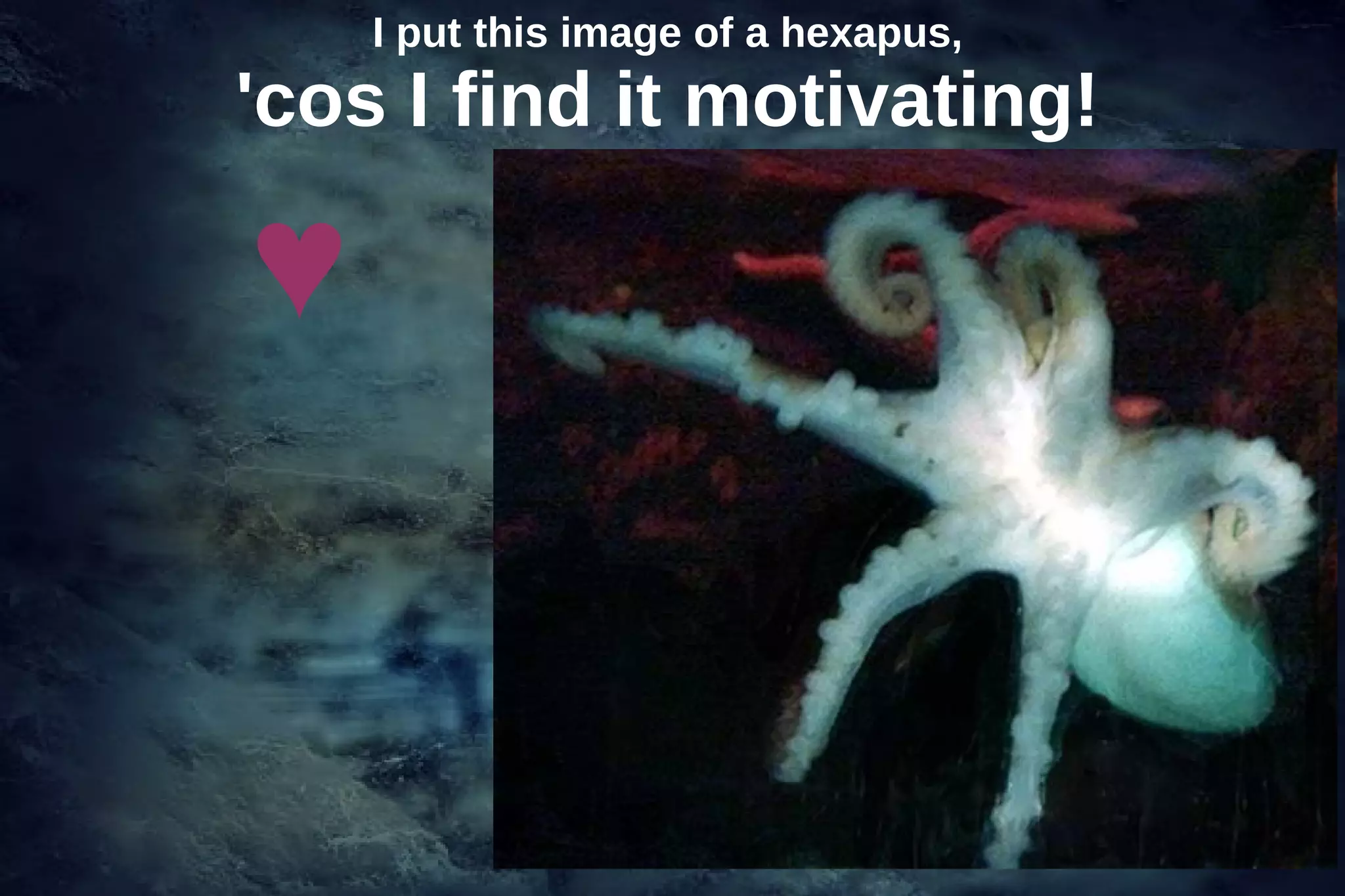 I put this image of a hexapus,
'cos I find it motivating!

♥


                                     7
 