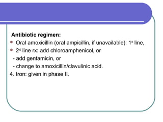 Antibiotic regimen:
 Oral amoxicillin (oral ampicillin, if unavailable): 1st
line,
 2nd
line rx: add chloroamphenicol, or
- add gentamicin, or
- change to amoxicillin/clavulinic acid.
4. Iron: given in phase II.
 