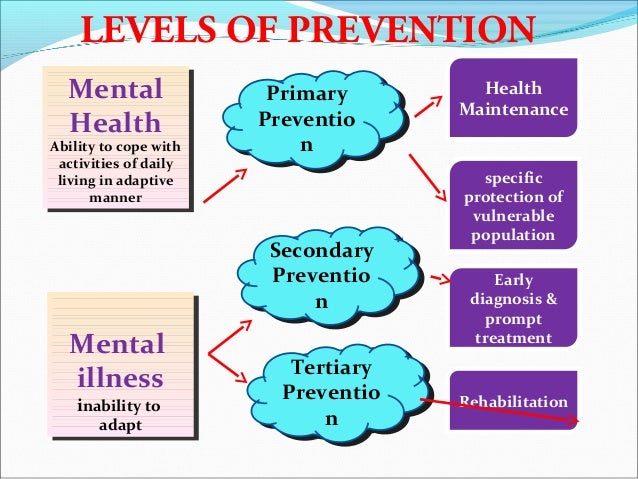Food that improve concentration and memory image 2