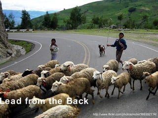 Distributed http://www.flickr.com/photos/mclxi/388392114/ Lead from the Back 