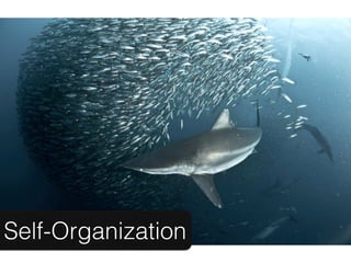 Self-Organization
 