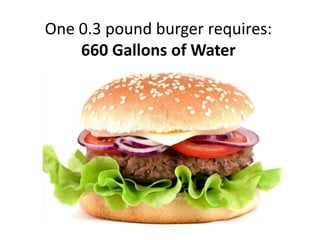 One 0.3 pound burger requires:
    660 Gallons of Water
 