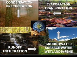 CONDENSATION
                  EVAPORATION
 PRECIPITATION
                 TRANSPIRATION




                 GROUNDWATER
   RUNOFF        SURFACE WATER
INFILTRATION     WETLANDS/FENS
 