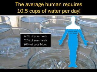 60% of your body
70% of your brain
80% of your blood
 