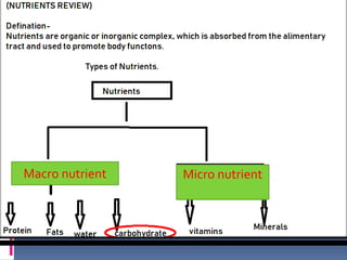 Macro nutrient Micro nutrient