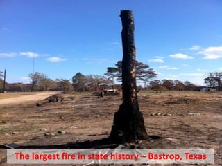 The largest fire in state history – Bastrop, Texas
 