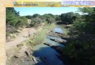 RIVER FORMATION
 