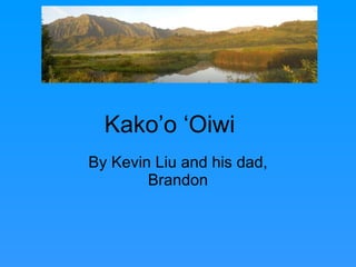 By Kevin Liu and his dad, Brandon Kako’o ‘Oiwi 
