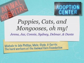 Puppies, Cats, and
            Mongooses, oh my!
      Jenna, Jaz, Connie, Sydney, Delmar, & Dante


M ah a lo to Ju  le P h il li ps, Mele, C lyde , & C a rr ie :
Th e h a rd w or k ers at th e An im a l C a re Fo un dati on
 