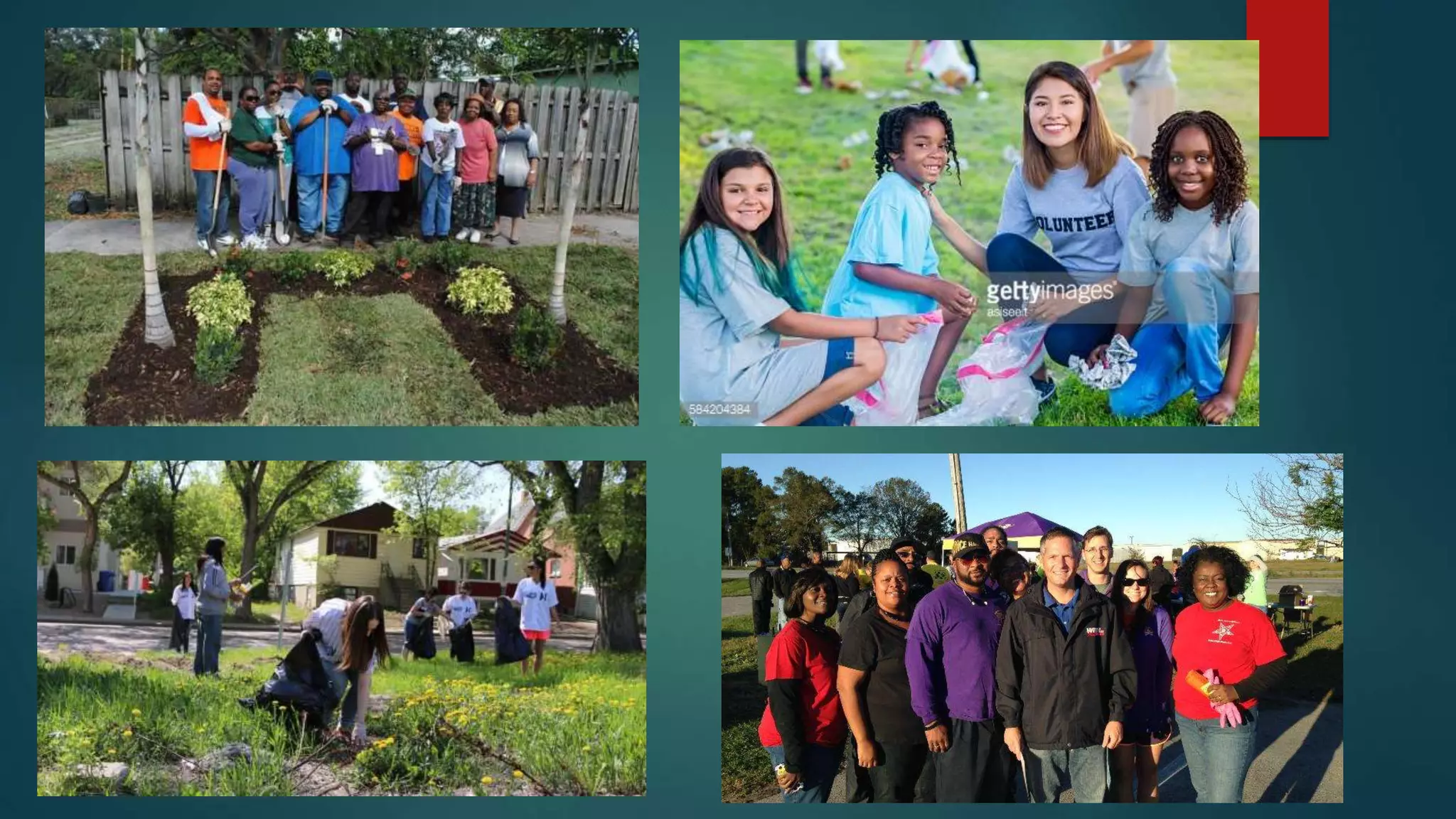 Community service ppt project (2) | PPTX