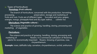  Types of horticulture:
Pomology (Fruit culture):
The branch of horticulture, concerned with the production, harvesting,
processing, preservation, storage and marketing of
fruits and nuts. Fruits are of different types. Succulent and juicy: grapes,
oranges, mango, pineapple.Hard and dry type: walnut, cashew nut.
Olericulture (Vegetable culture) :
The science and practice of growing, handling, storing, processing and
marketing of vegetables
Floriculture :
The science and practice of growing, handling, storing, processing and
marketing of flowers. It is commercial cultivation of flowering
plants for economically important flowers. Growing of jasmines, rose,
chrysanthemum.
Example: roses, daffodils tulip, carnation, chrysanthemum, orchid, anthurium.
 