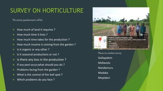 SURVEY ON HORTICULTURE
The survey questionnaire will be:
 How much of land it requires ?
 How much time it lives ?
 How much time takes for the production ?
 How much income is coming from the garden ?
 Is it organic or any other ?
 Is it seasonal productions or not ?
 Is there any loss in the production ?
 If any pest occur,what should you do ?
 Problems facing from the garden ?
 What is the control of the leaf spot ?
 Which problems do you face ?
Places we conduct survey
Gollapalem
Mallavolu
Nandamuru
Madaka
Mopidevi
 