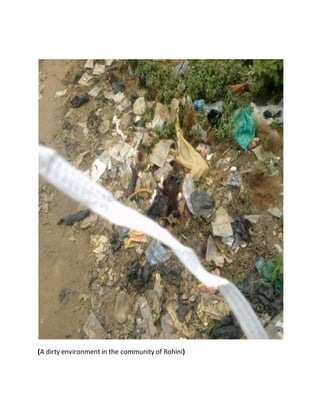 (A dirty environment in the community of Rohini)
 