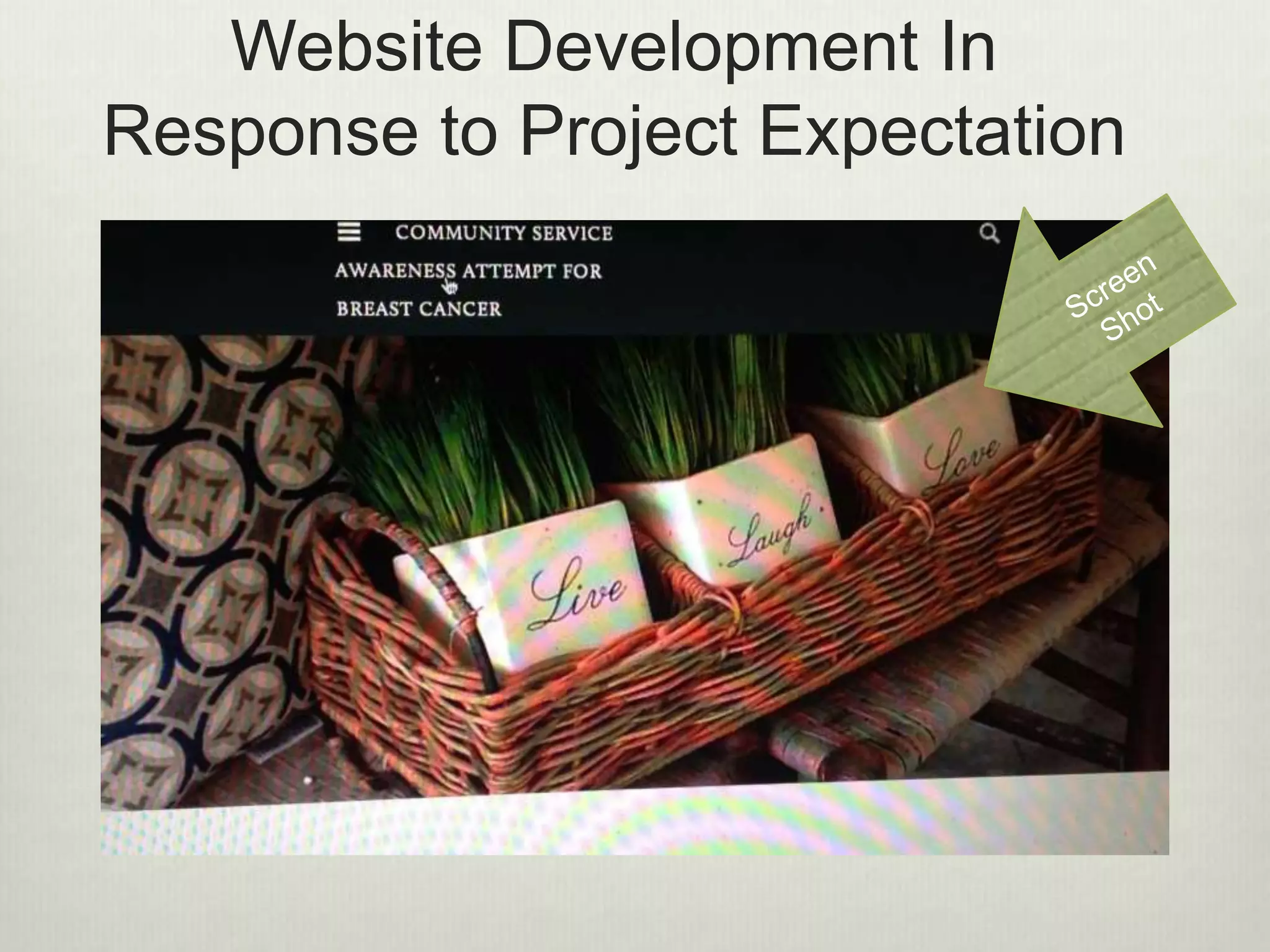Website Development In
Response to Project Expectation
 