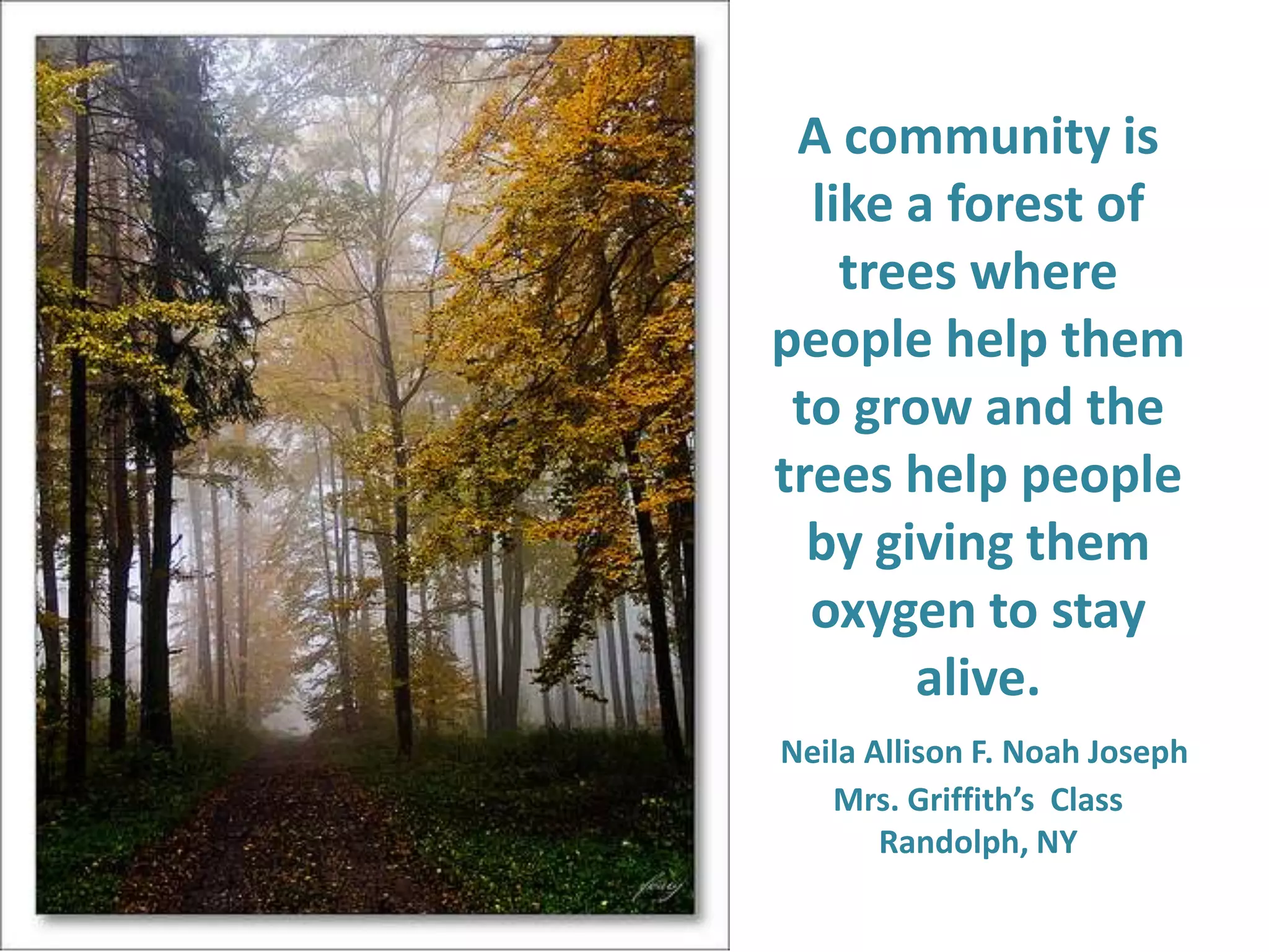 A community is like a forest of trees where people help them to grow and the trees help people by giving them oxygen to stay alive. Neila Allison F. Noah JosephMrs. Griffith’s  Class Randolph, NY