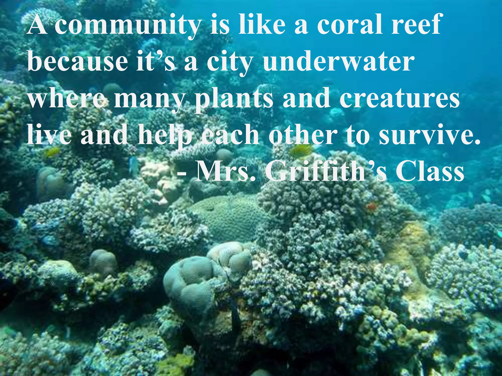 A community is like a coral reef because it’s a city underwater where many plants and creatures live and help each other to survive. 			- Mrs. Griffith’s Class 