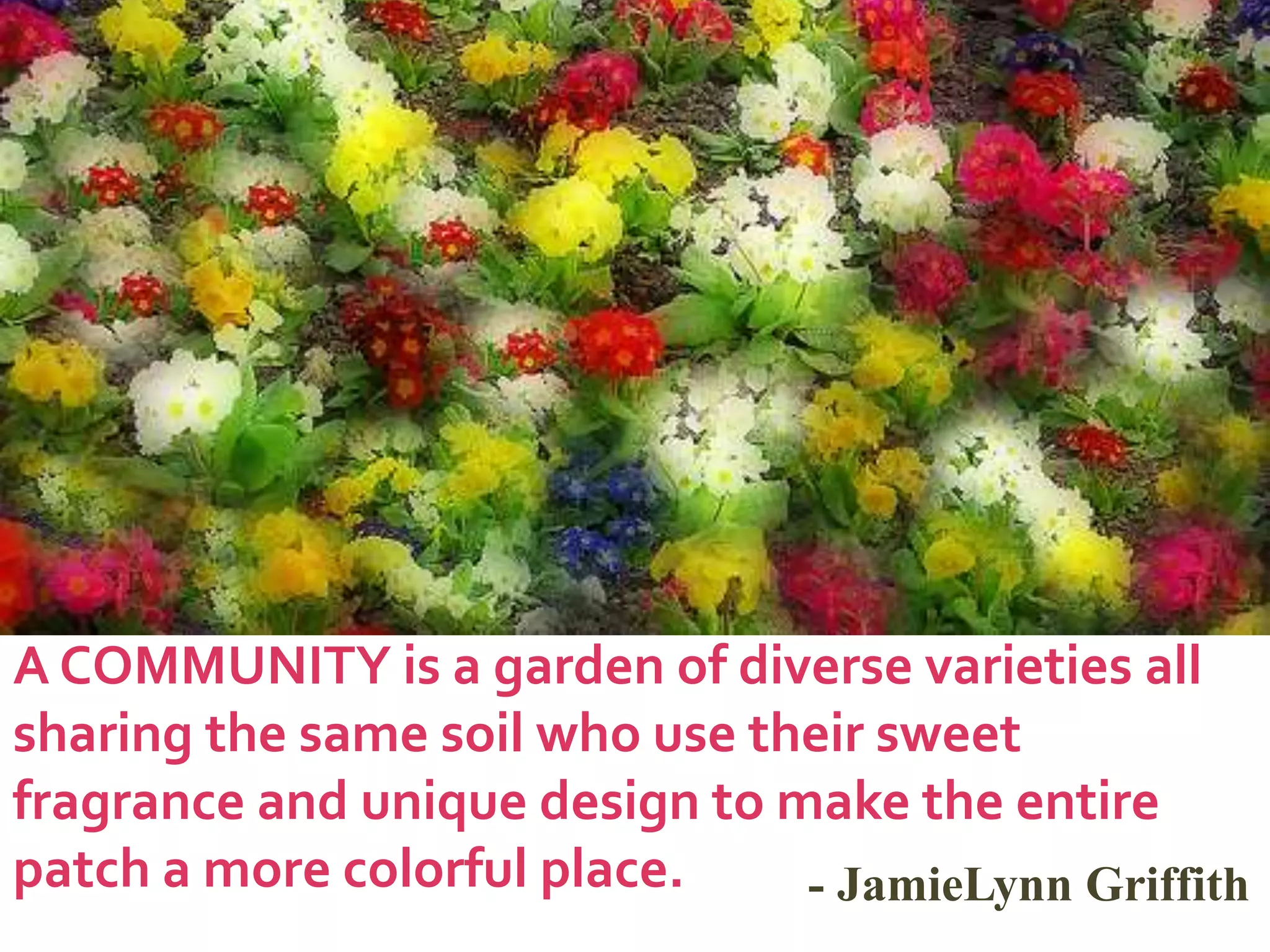 A COMMUNITY is a garden of diverse varieties all sharing the same soil who use their sweet fragrance and unique design to make the entire patch a more colorful place.- JamieLynn Griffith
